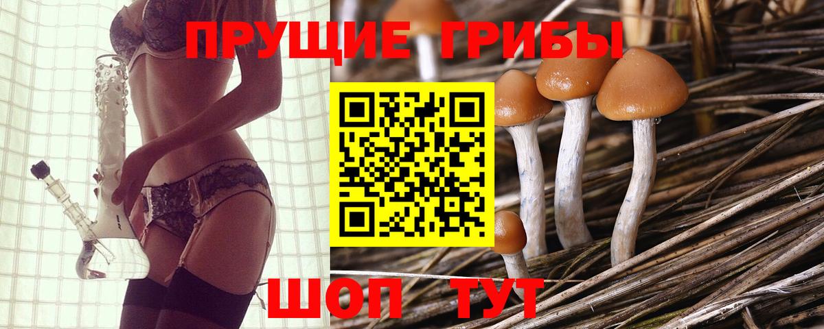 Псилоцибиновые грибы MAGIC MUSHROOMS Мурманск