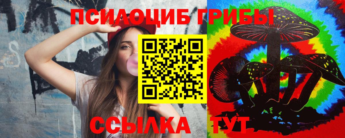 Мурманск  магазин продажи наркотиков  Вход с VPN  Галлюциногенные грибы прущие грибы 